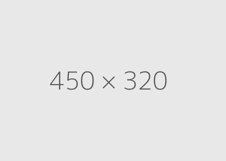 Per natoque mattis efficitur